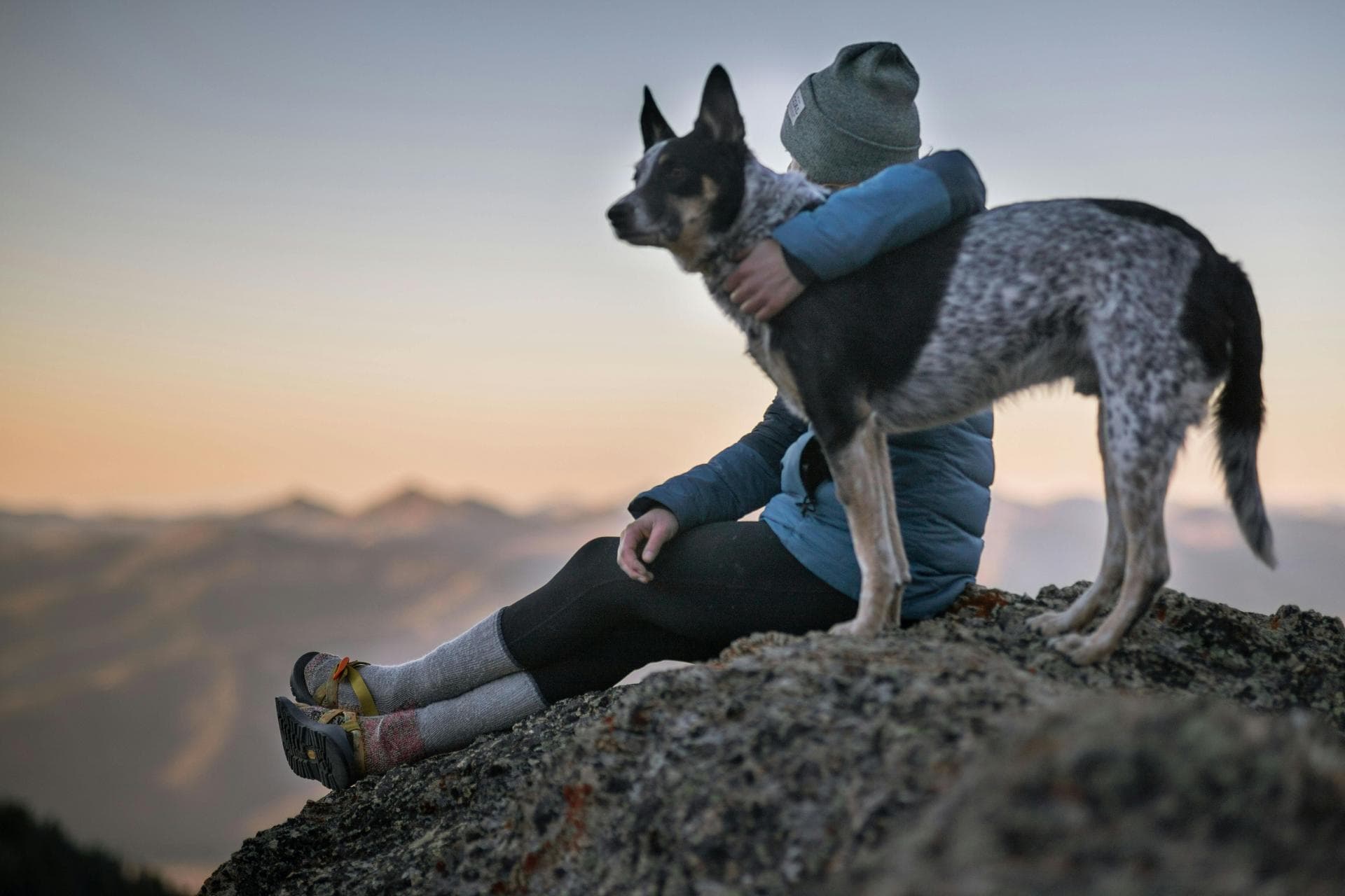 Hiker and dog on hill at dusk